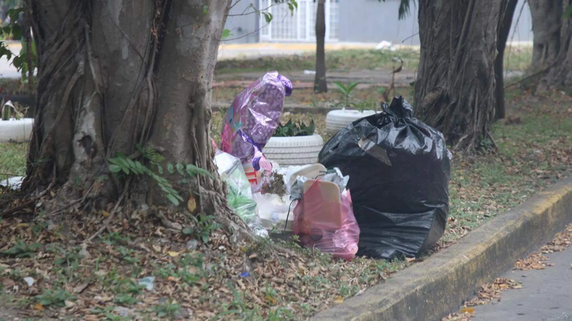 Las-Brisas-Basura copia